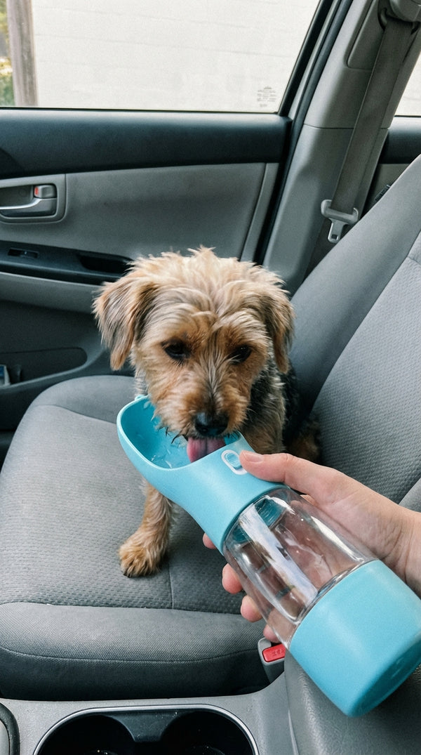 Alex H. review photo