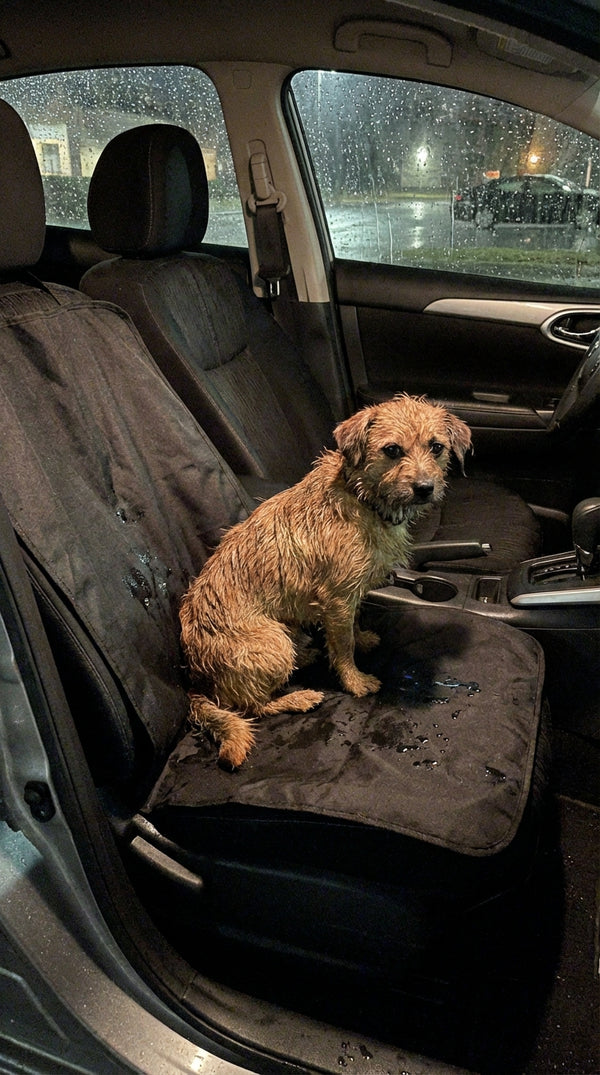 Kevin S. review photo