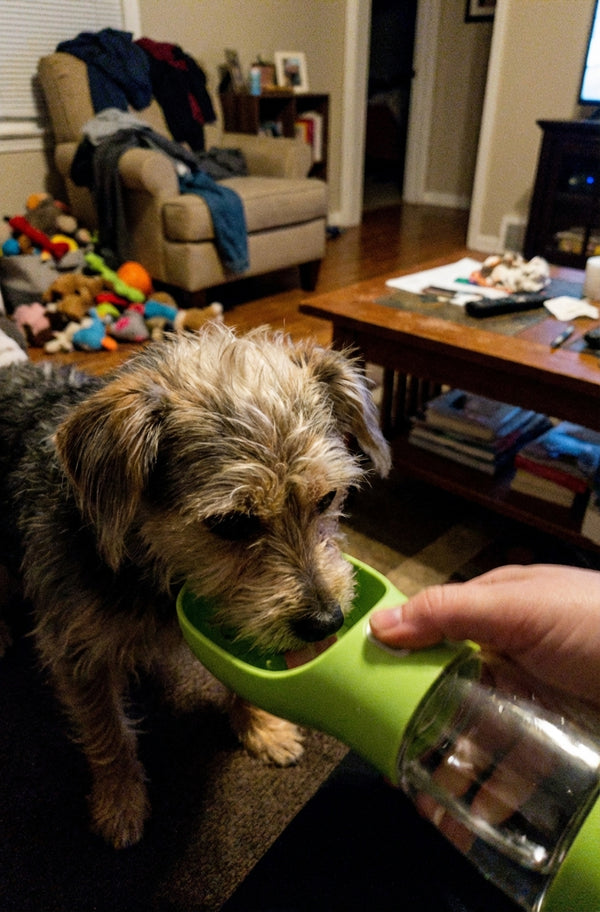 Emily C. review photo