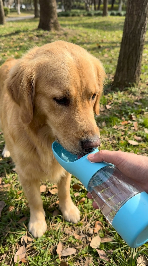 Daniel C. review photo