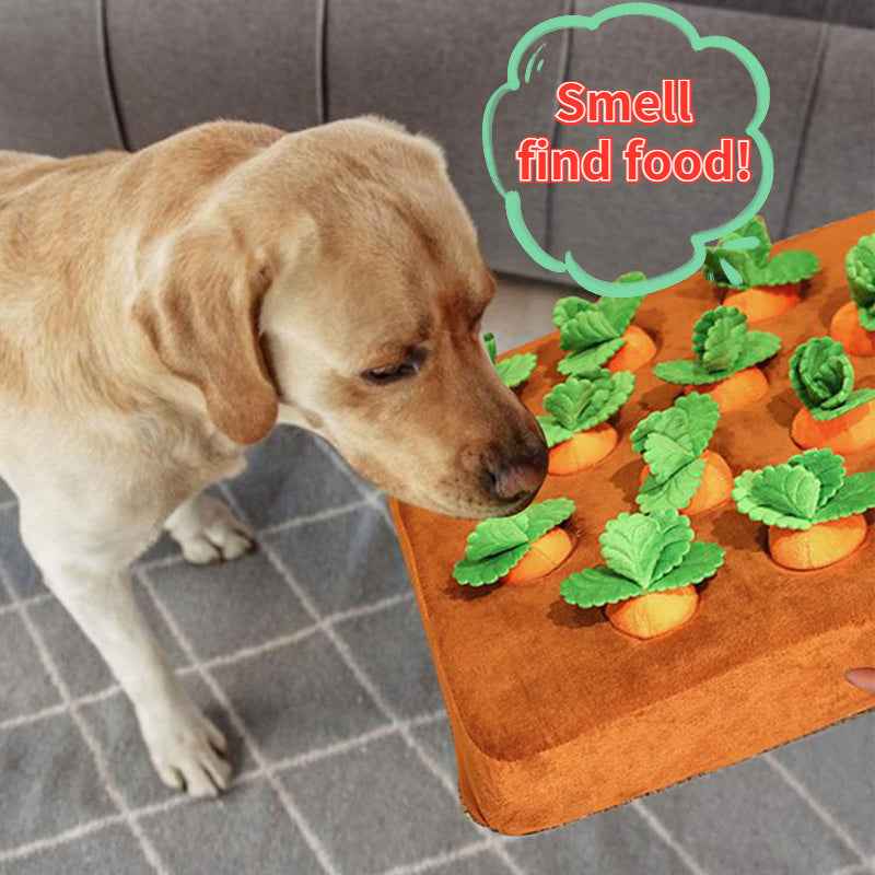 CarrotPatch Snuffle Toy - BLENND