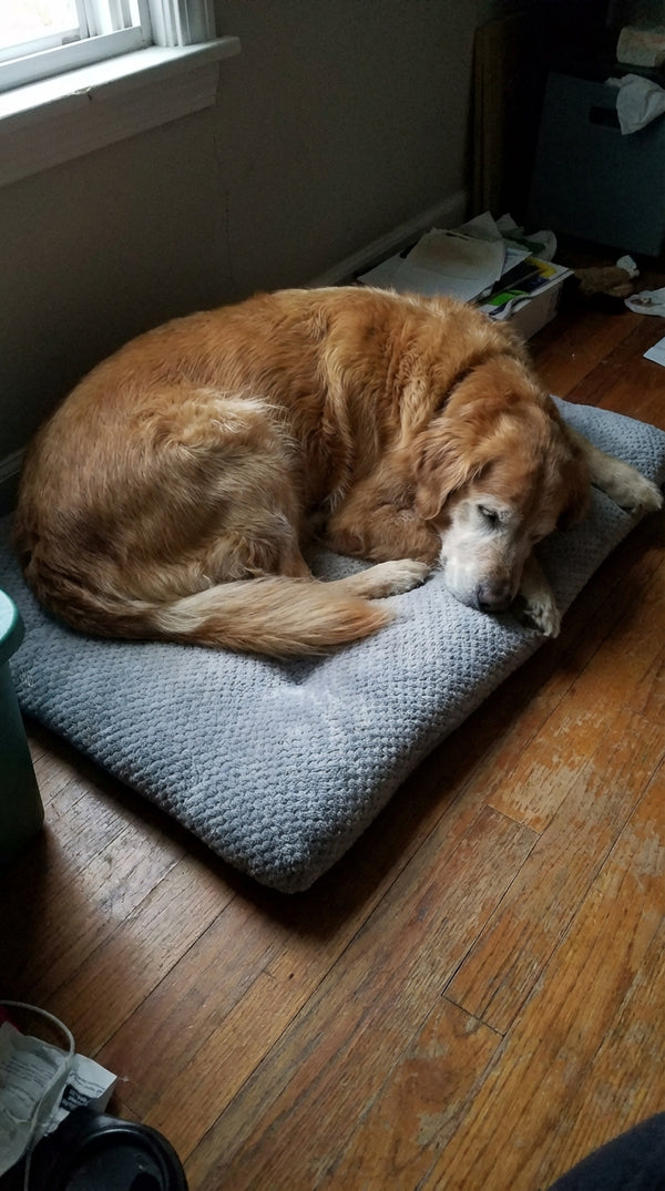 Margaret L. review photo