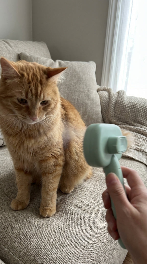 Sarah K. review photo