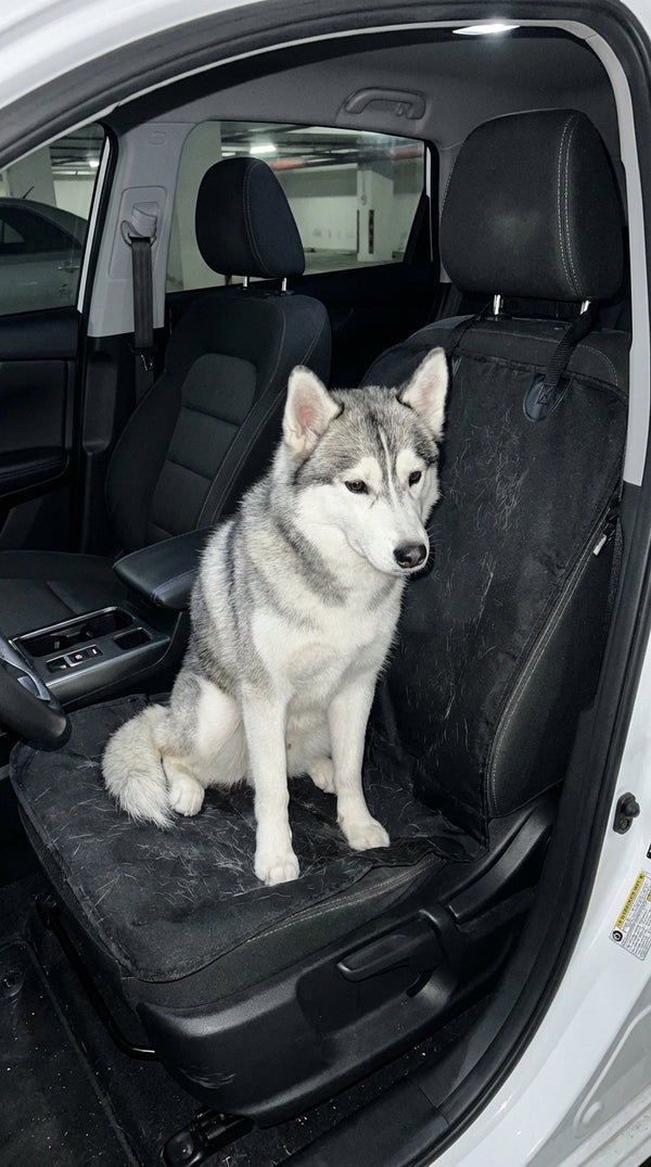 Laura P. review photo