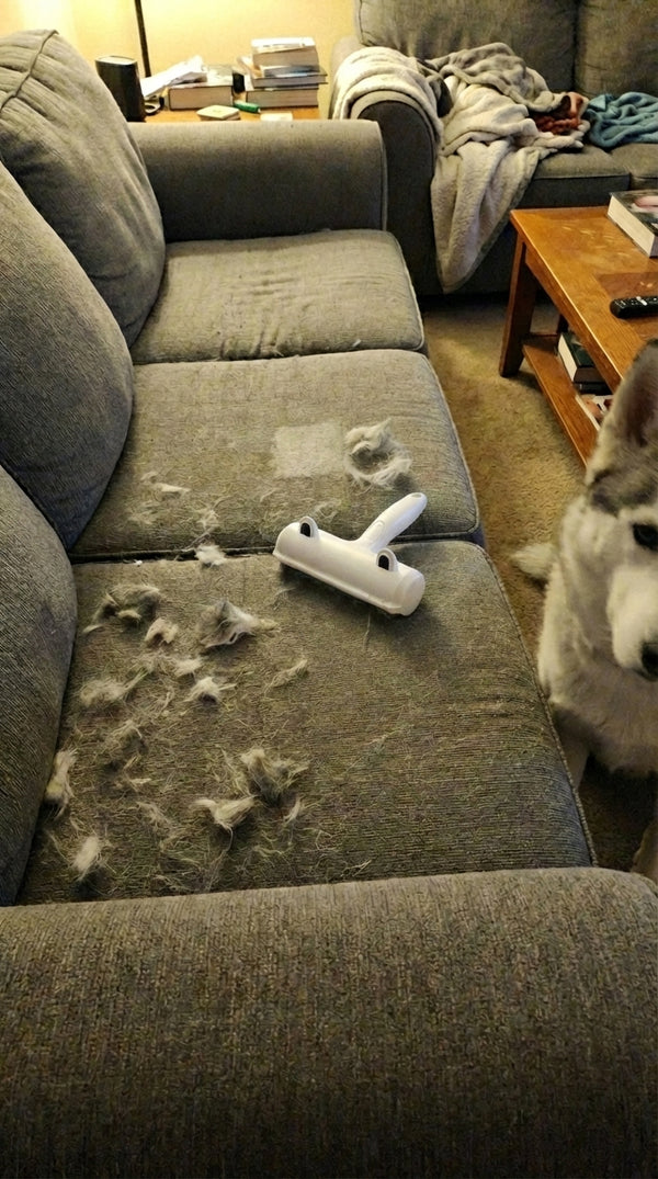 Raul D. review photo