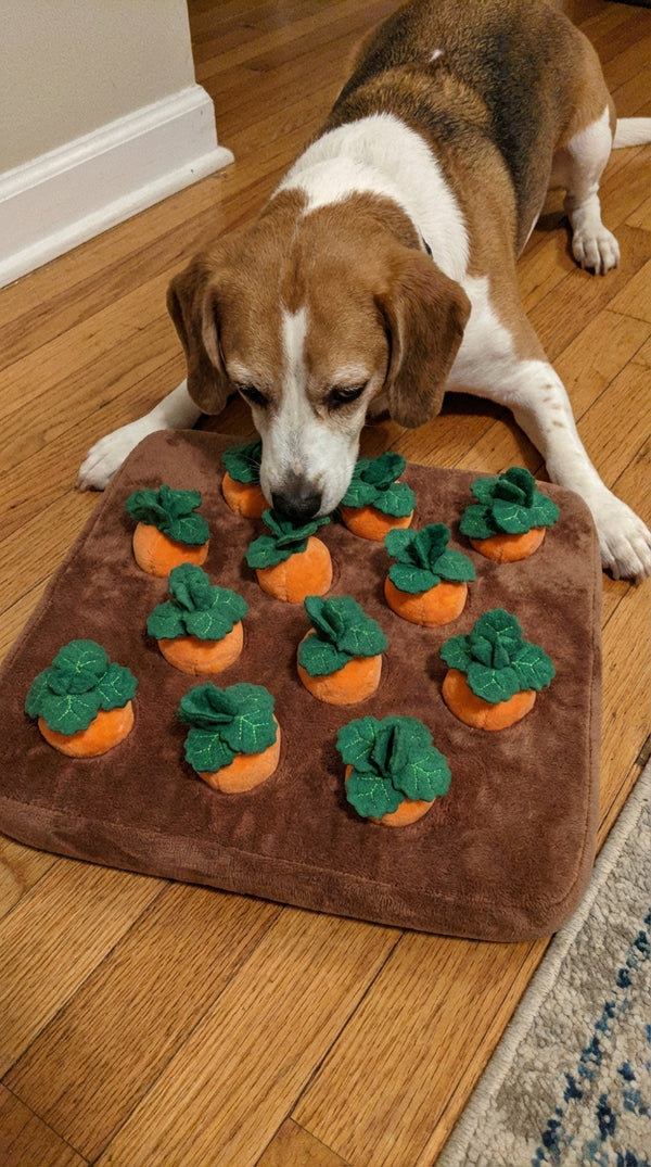 Mark T. review photo